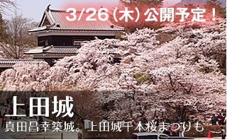 上田城跡公園ライブカメラ