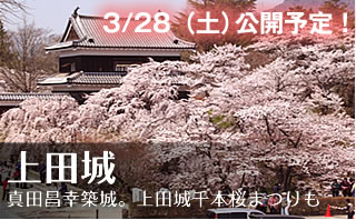 ��c��Ռ������C�u�J����