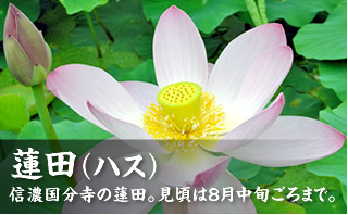�M�Z�������̘@���C�u�J����